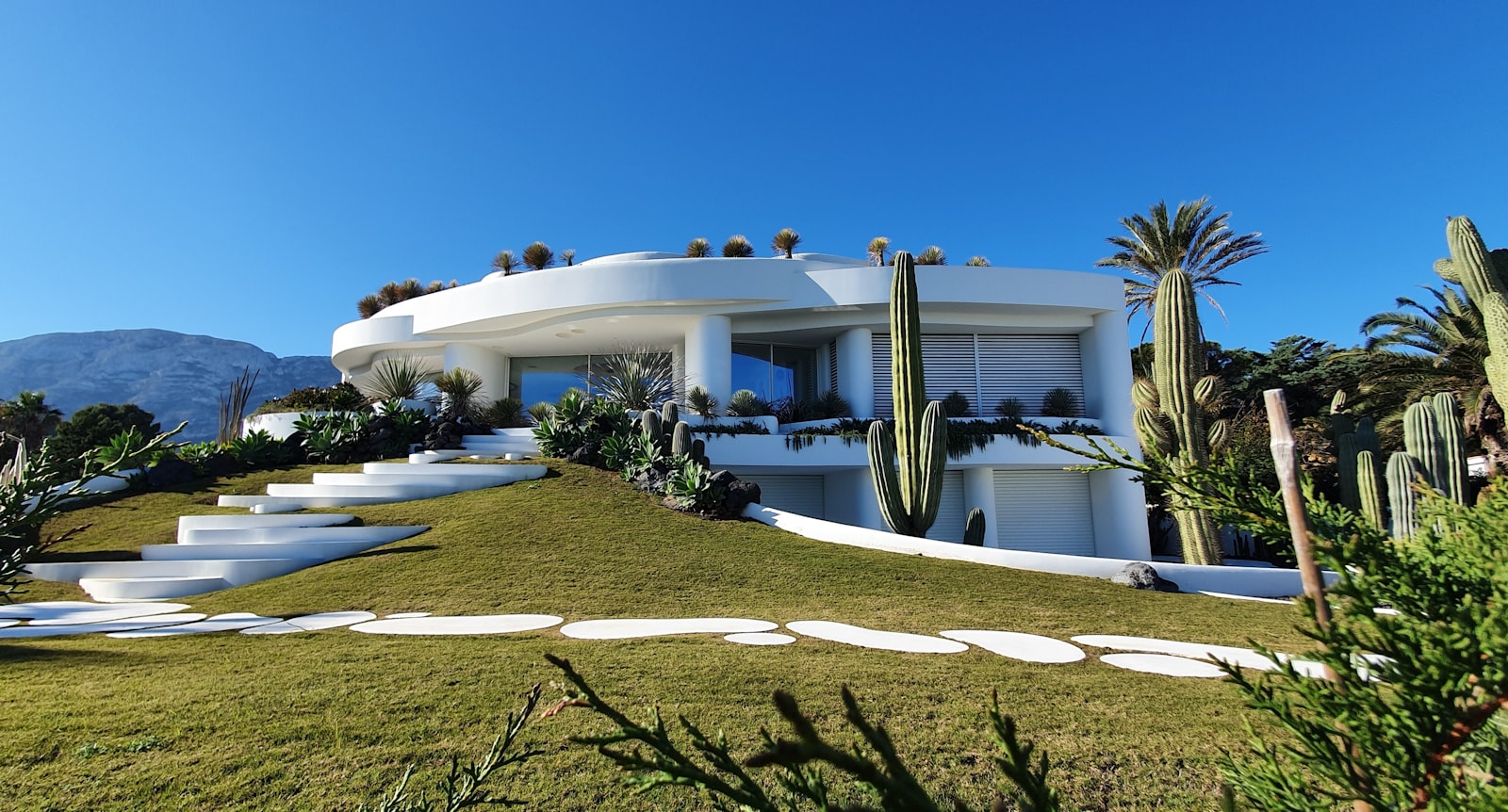 A sculptural white villa surrounded by cacti and palms